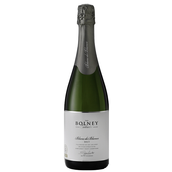 English Sparkling Wine Bolney Estate 2009 Blanc de Blancs Glass of Bubbly