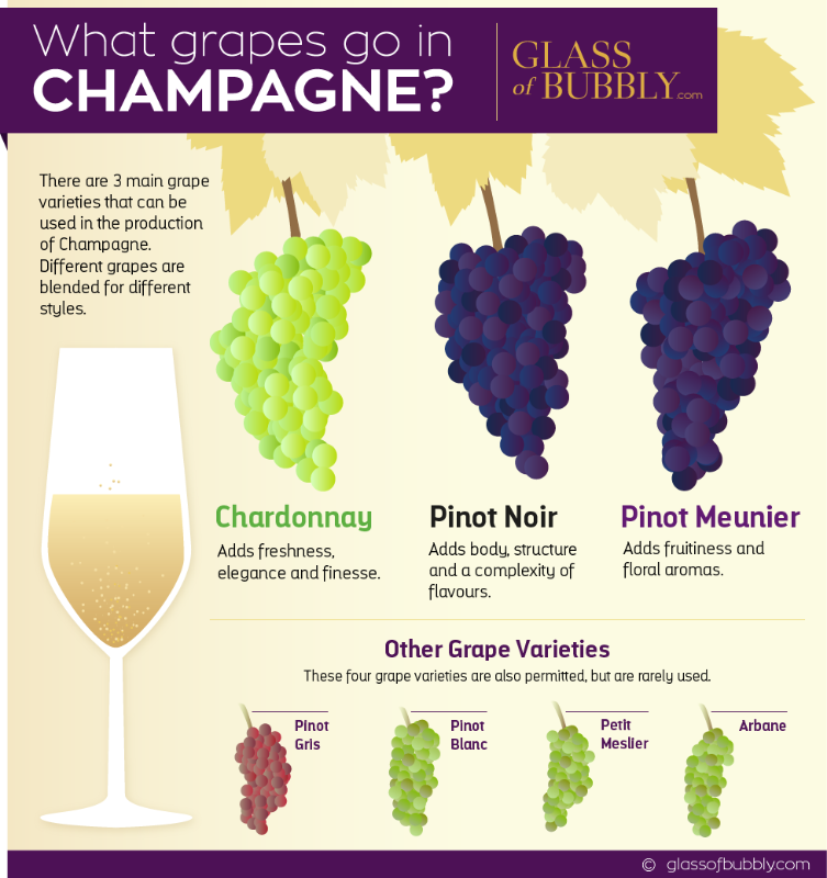 Understanding Champagne Jargon Glass Of Bubbly