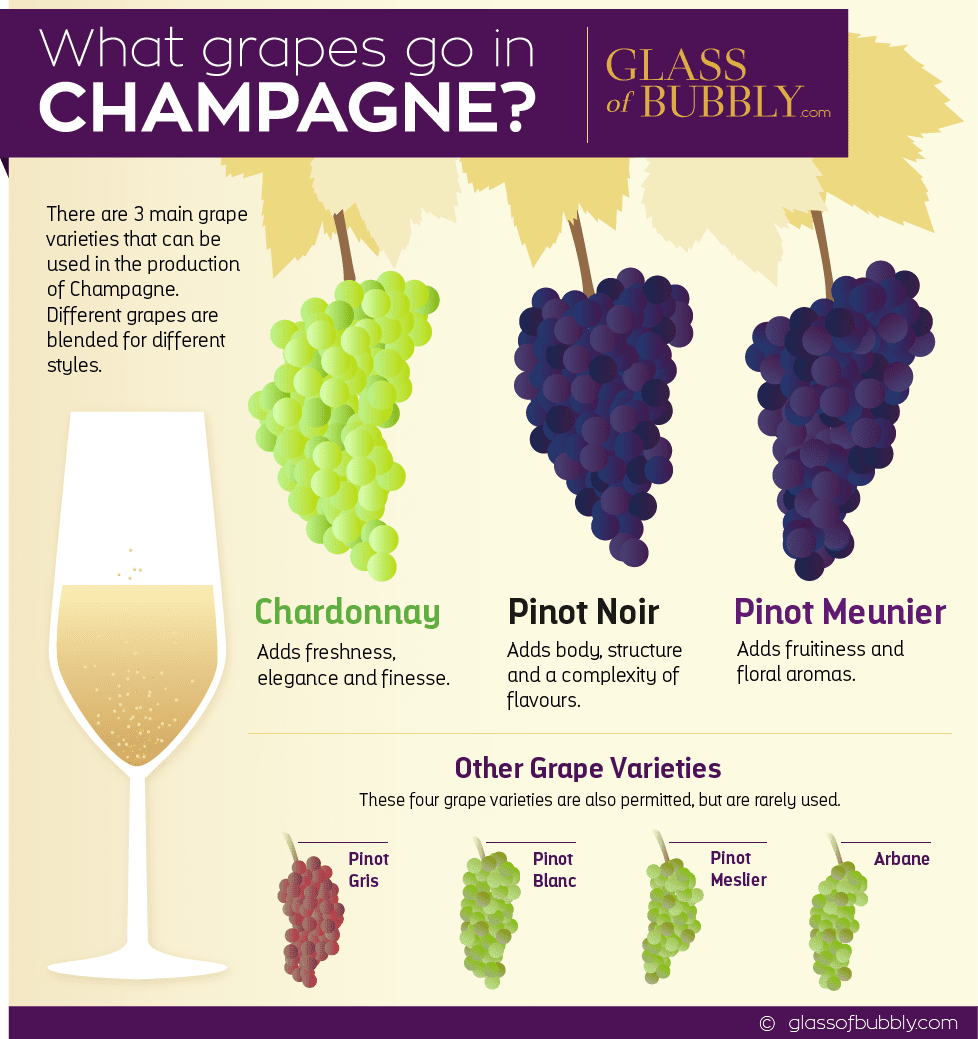 What Grapes go in to Champagne